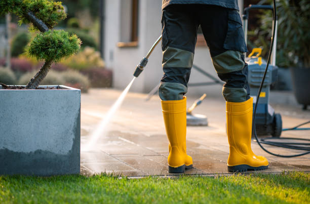 Best Pressure Washing Near Me  in Whitehorn Cove, OK